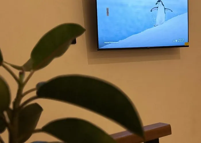 Appartamento Casa Ola *